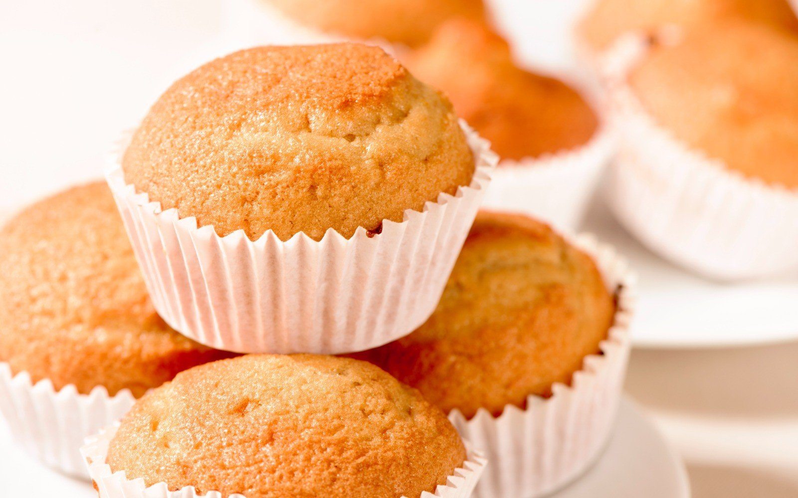 dog-friendly carrot muffin pupcake dog treat