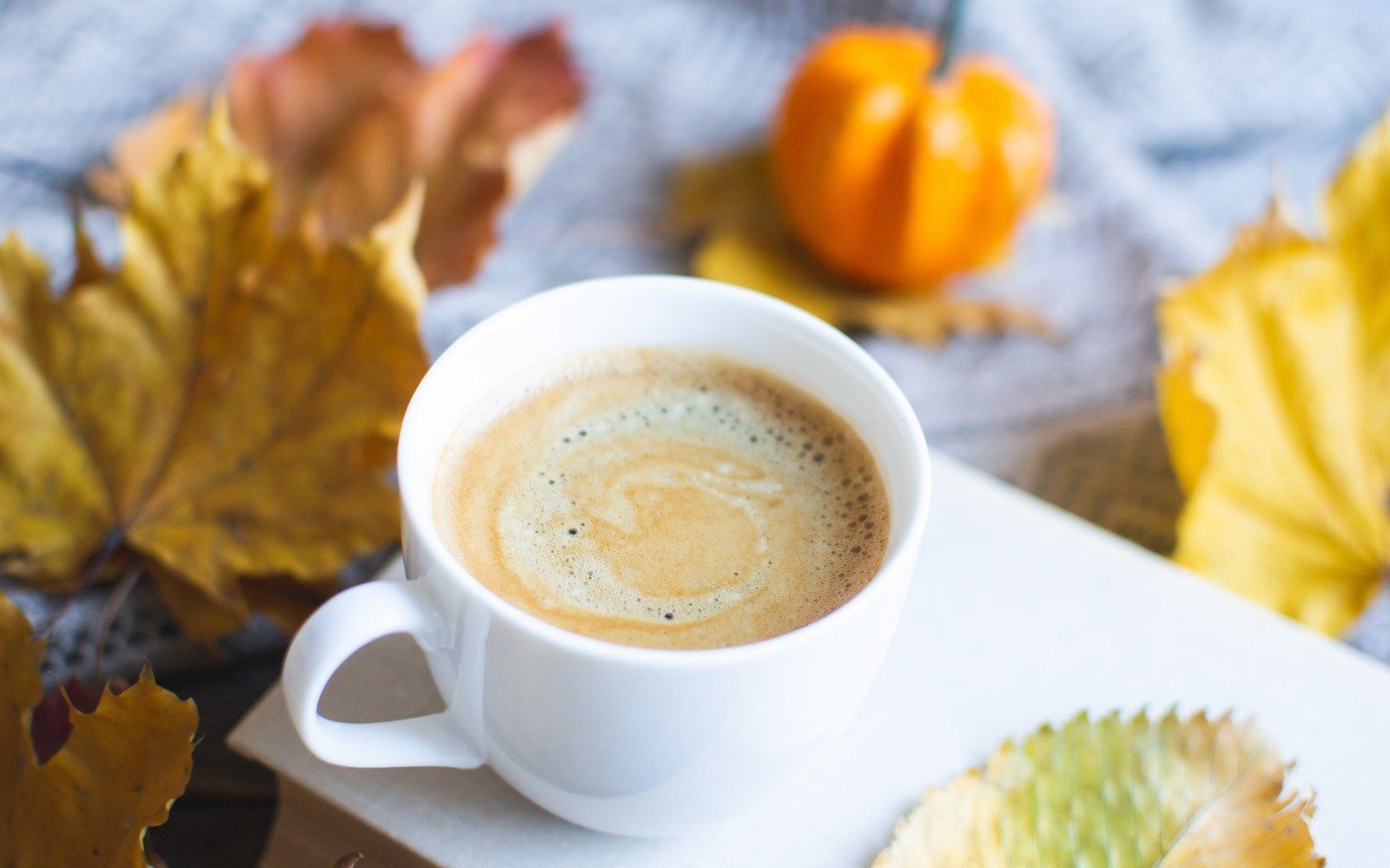 Pumpkin Pie Coffee Creamer
