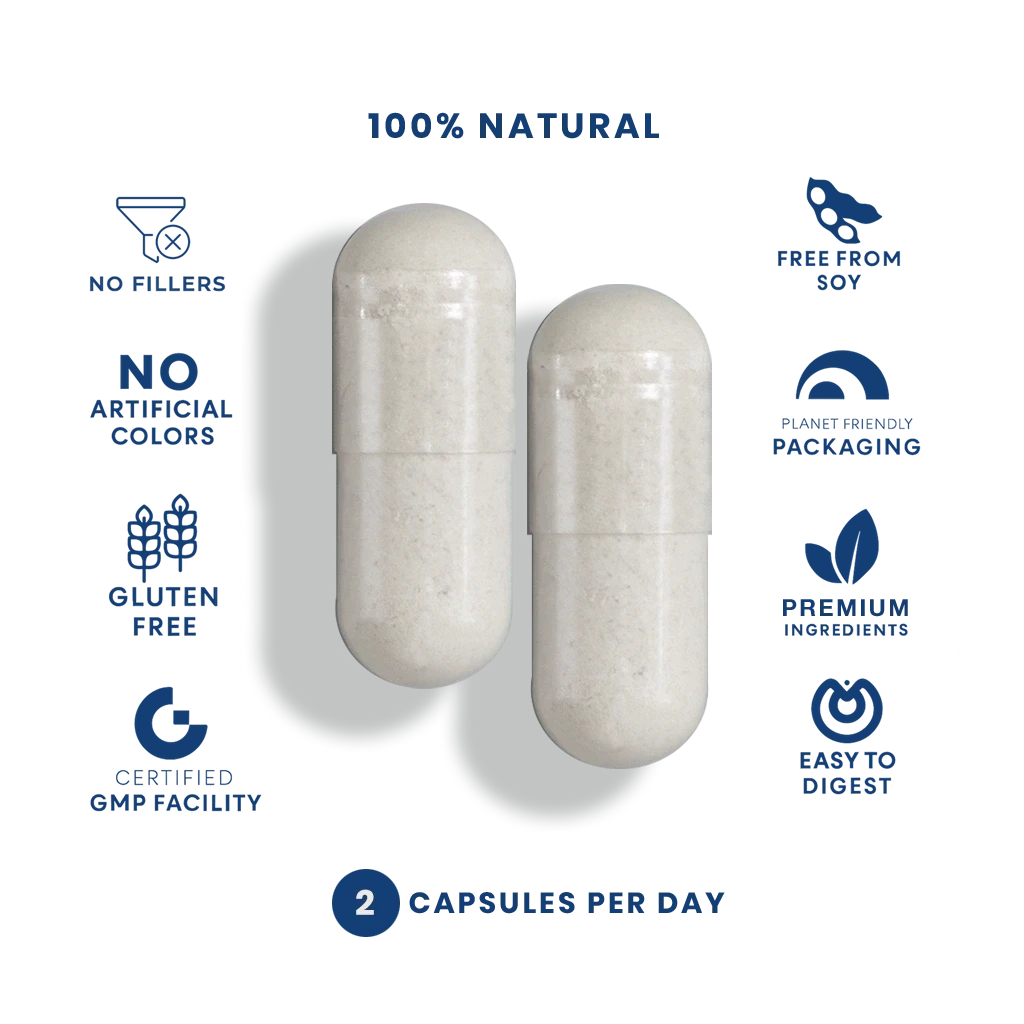 Beta-Alanine™ (60 Capsules) Capsule FEELGOOD Company™