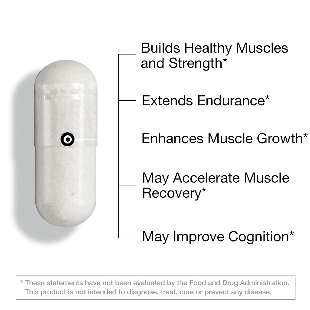 Creatine + Beta-Alanine (60 Vegan Capsules) FeelGood Superfoods®