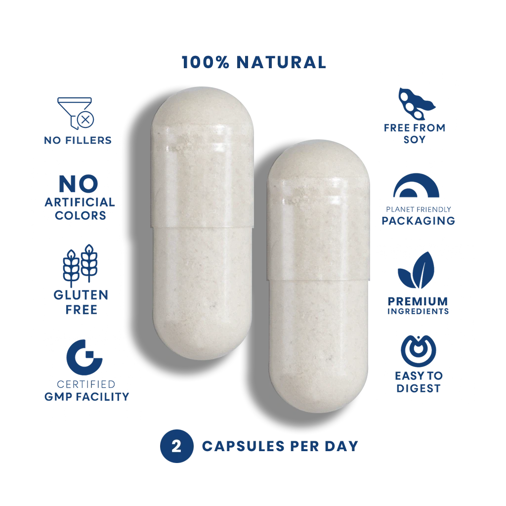 Creatine + Beta-Alanine (60 Vegan Capsules) FeelGood Superfoods®