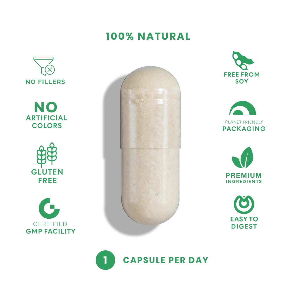 L-Methylfolate + Vitamin B12 - 60 Vegan Capsules Capsule FeelGood Company™