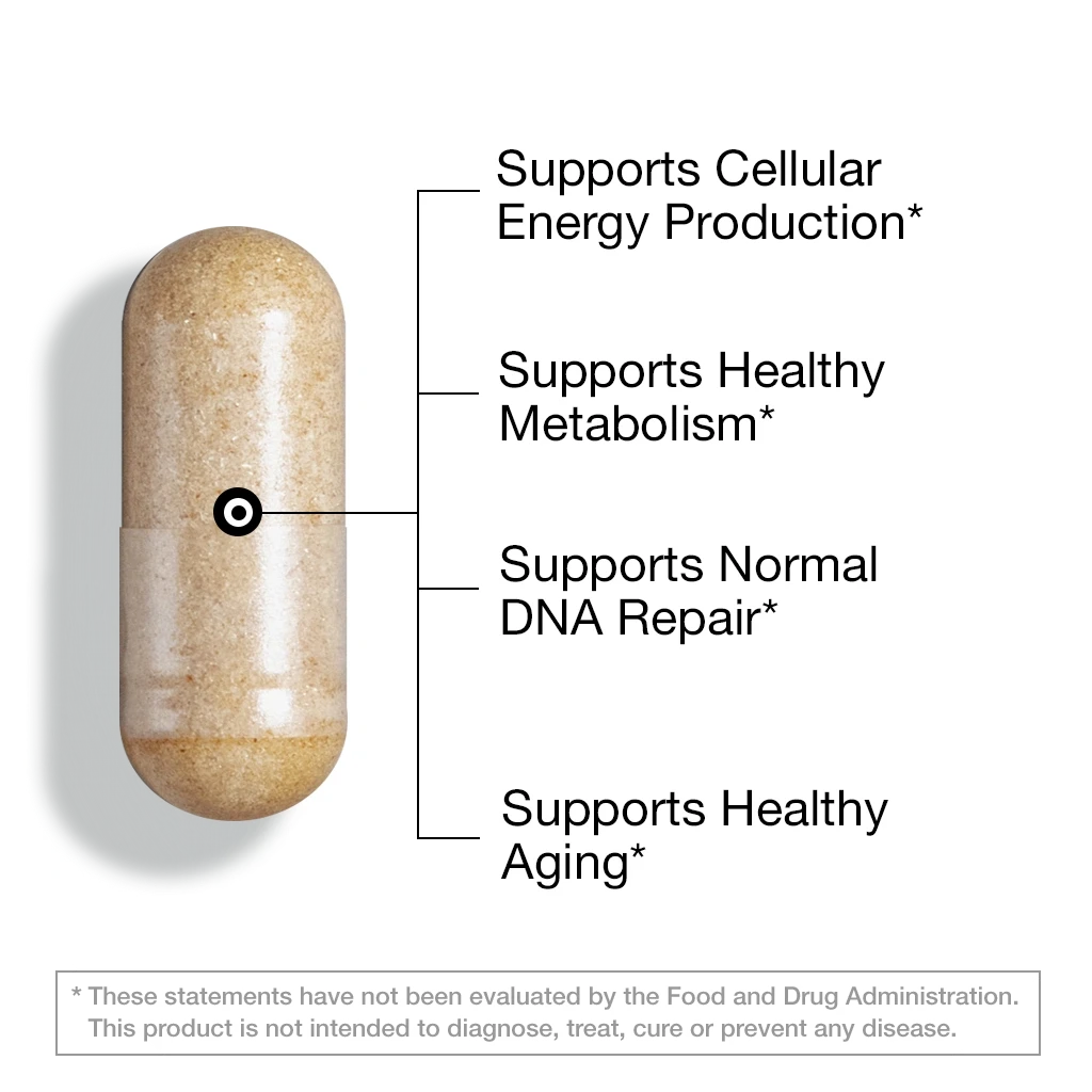 NAD+ Support (Nicotinamide Riboside) – 60 Vegan Capsules Capsule FeelGood Company™