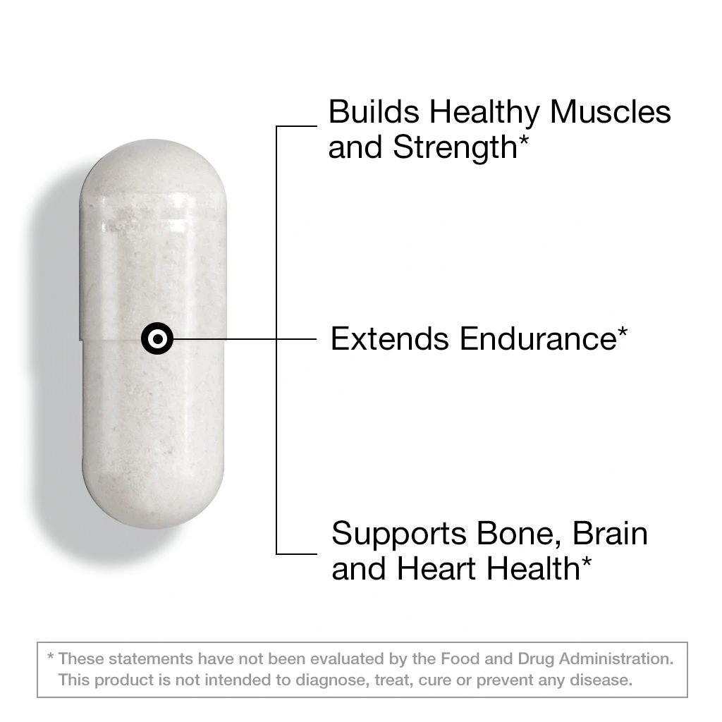 Beta-Alanine – 60 Vegan Capsules Capsule FeelGood Company™