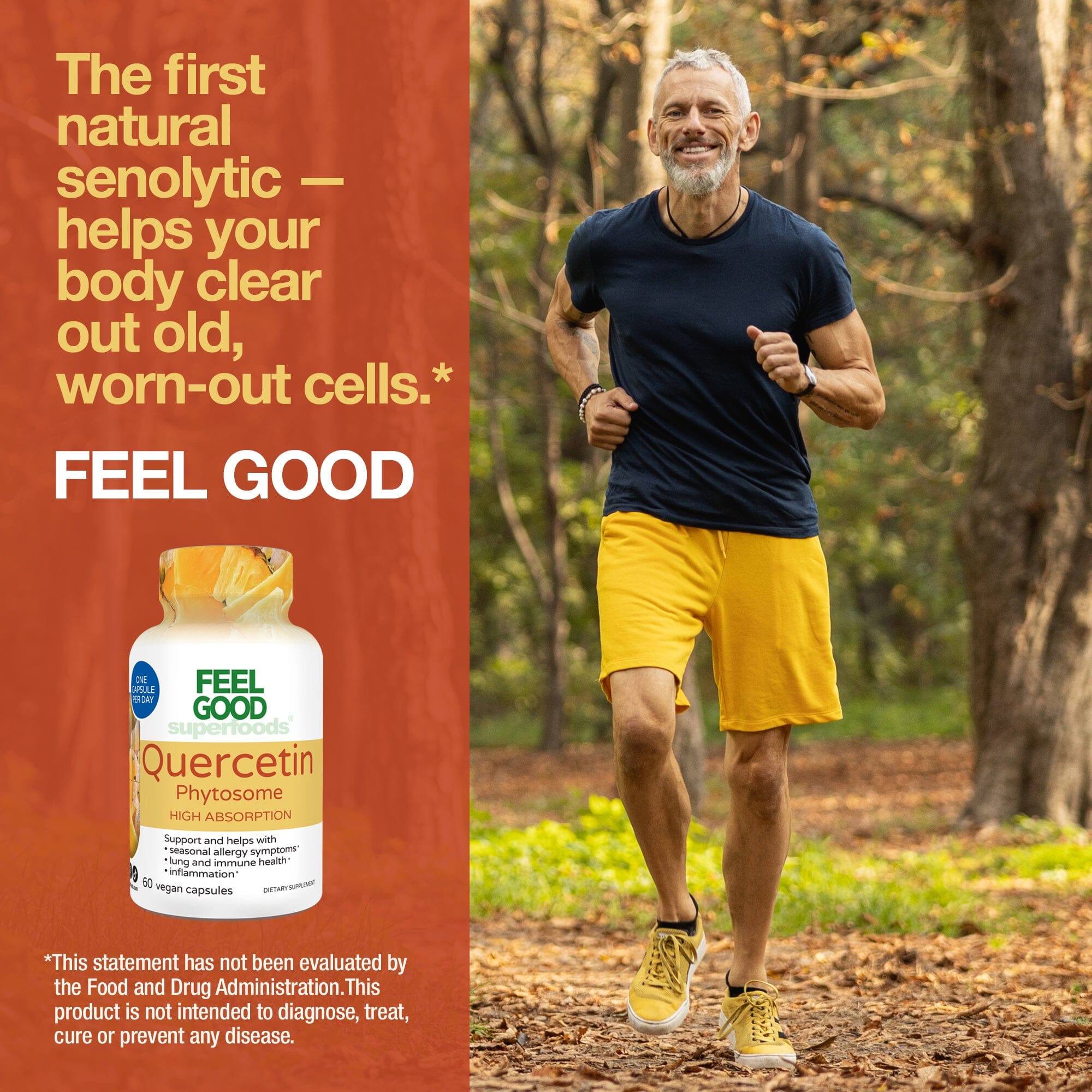 Quercetin Phytosome™ (60 Capsules) Organic Superfood Capsules FeelGood Superfoods®