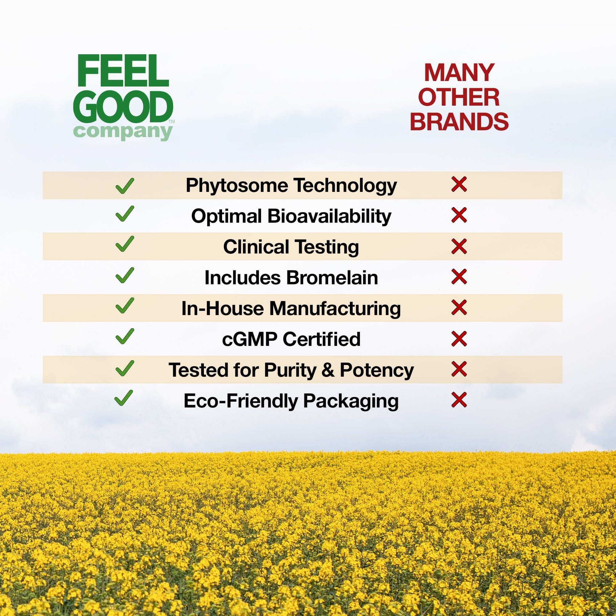 Quercetin Phytosome™ (60 Capsules) Organic Superfood Capsules FeelGood Superfoods®